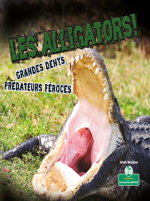 cover image of Les alligators! Grandes dents, prédateurs féroces (Alligators! Big Teeth, Fierce Hunters)